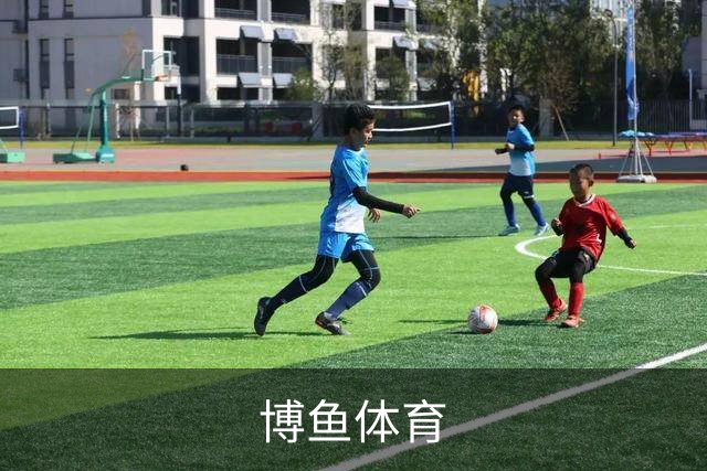 博鱼体育公司简介